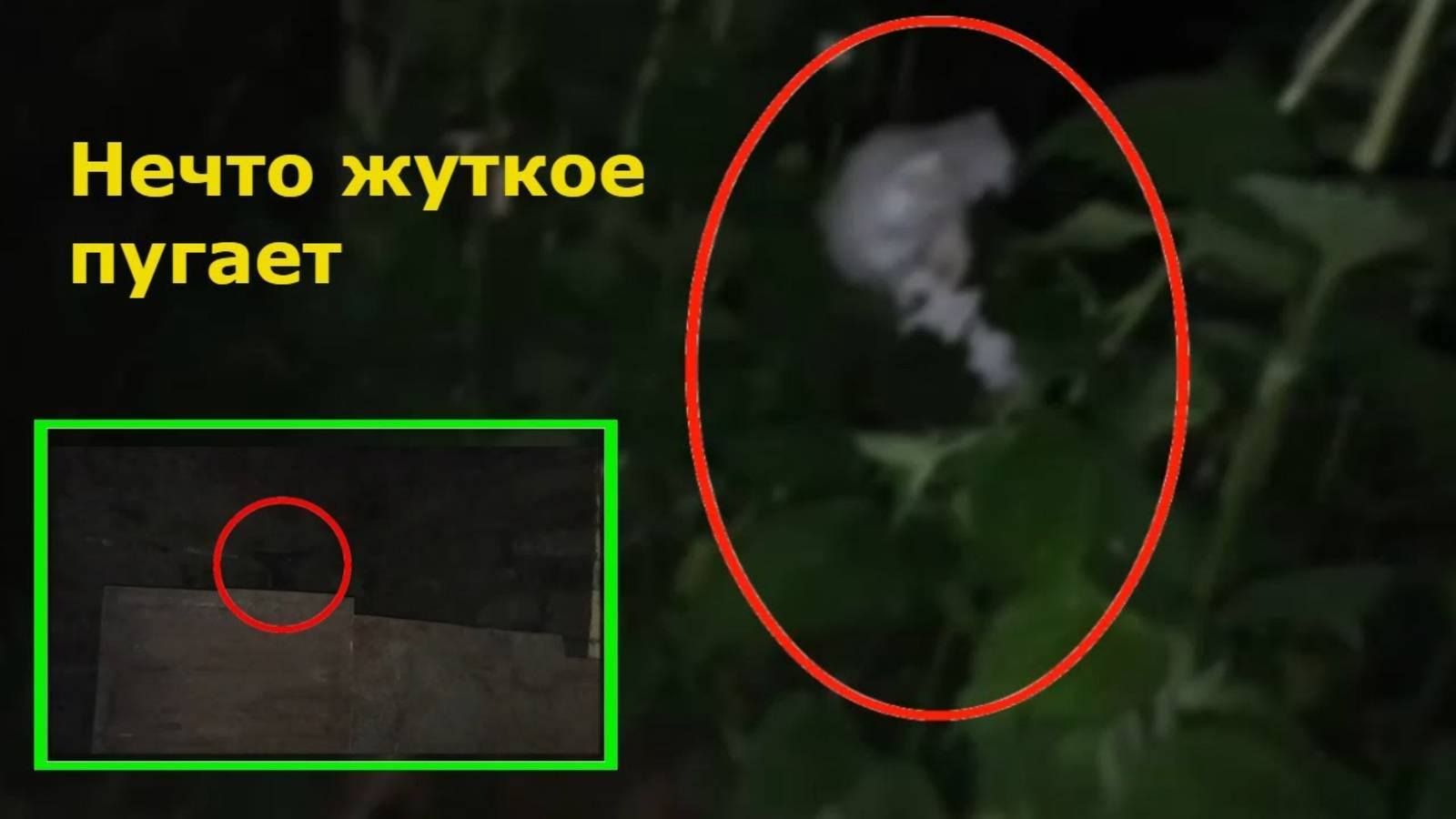 Жуткие существа снятые на камеру и страшные видео пугают смотреть онлайн