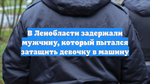 В Ленобласти задержали мужчину, который пытался затащить девочку в машину
