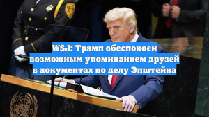 WSJ: Трамп обеспокоен возможным упоминанием друзей в документах по делу Эпштейна