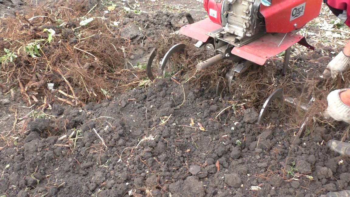 Фрезы каракатицыновые испытания.2025.