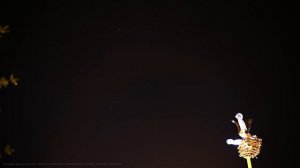 Космический парк победы
