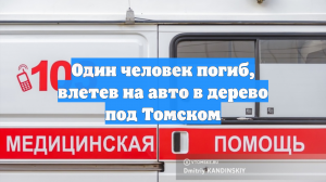 Один человек погиб, влетев на авто в дерево под Томском