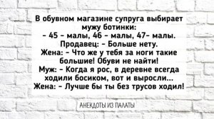 Отличная Подборка Анекдотов! Лучшие Весёлые АНЕКДОТЫ для Настроения! Выпуск 19