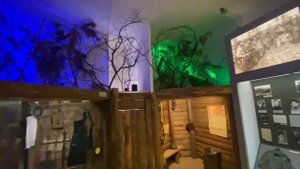 Смоленск, как это было?