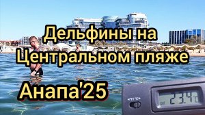 #Анапа #дельфины среди людей #купаемся среди дельфинов 25-09-2025