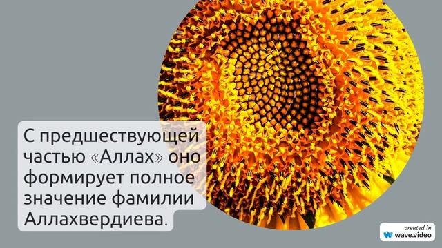 Фамилия Аллахвердиева: история, значения и склонение - все, что нужно знать!
