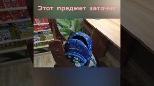 что лежит в портфеле