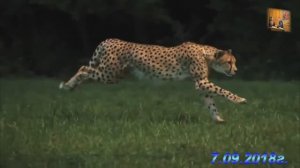 Как прекрасна природа(7.09.2018г.)