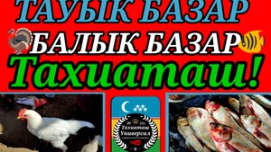 26-09-2025 РЫНОК ПТИЦ И РЫБ.