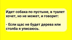АНЕКДОТЫ! Сифилитик на нарах. Сборник Смешных Анекдотов! Выпуск 34