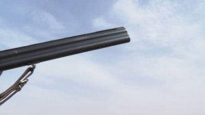 Мужчина назвал крик чаек поводом для стрельбы из окна по прохожим в Москве