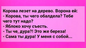 Сборник Веселых Анекдотов Для Настроения! Юмор Смех Хохма Позитив