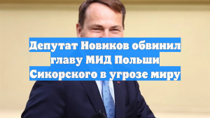 Депутат Новиков обвинил главу МИД Польши Сикорского в угрозе миру