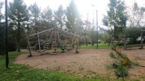 Парк Покровский, г. Красноярск сентябрь 2025г.