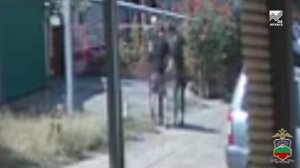 Полиция по горячим следам задержала подозреваемых в уличном грабеже