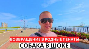 СОБАКА в ШОКЕ! ВОЗВРАЩЕНИЕ в Родные пенаты! Встреча с родными!