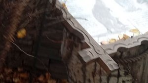 1000005978.mp4зоопарк Кенгуру