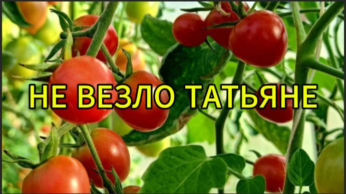 Не везло Татьяне в жизни