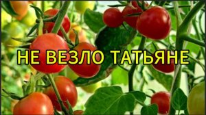 Не везло Татьяне в жизни