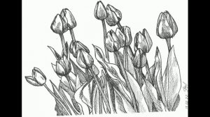 Рисунки линером цветы - Liner drawings of flowers