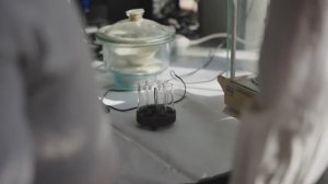 Наука достигать: Алина Олькова