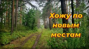 Skycruiser s63. Хожу по лесу, ищу монеты.