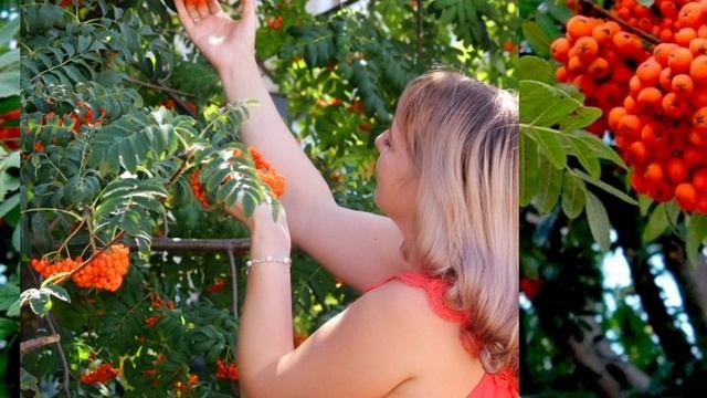 Осеннее настроение