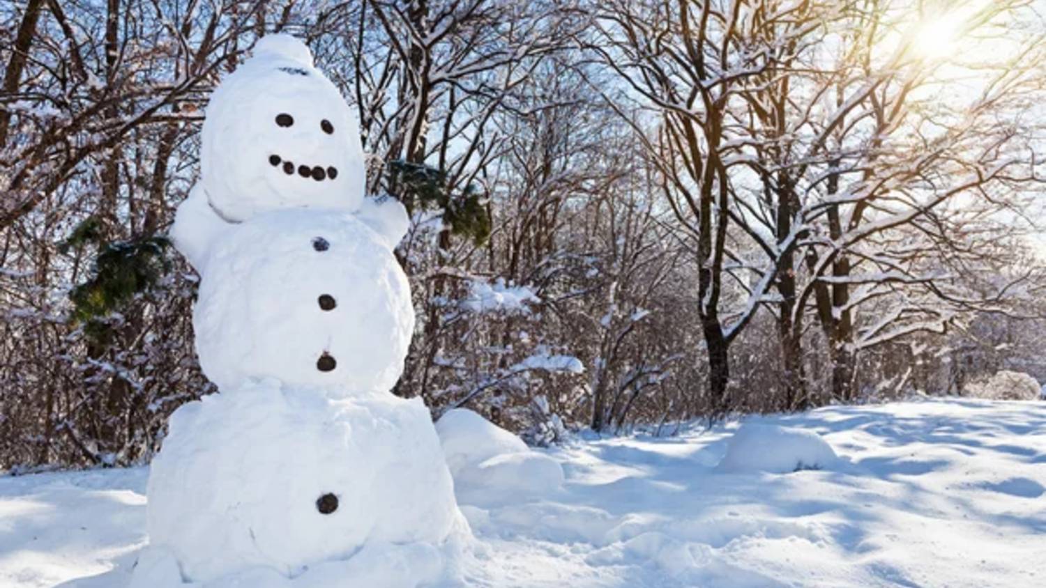 МОРОЗ трескучий смотреть онлайн