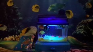 Обзор на Аквариум из Фикс Прайса