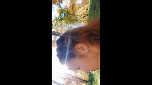 классный парк