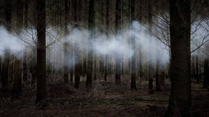 Мистика . Это Жуткая История, Которая случилась в ЛЕСУ.