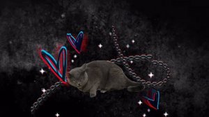 Темная эстетика 🦇🕶️/котик Мия