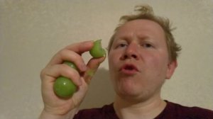 Дмитрий Гаврилкин - Пробую Зеленый Китайский Виноград - 2025