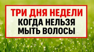 3 запретных дня для мытья волос, которые приносят беды, болезни и потери