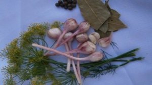 Кабачки консервированные на зиму