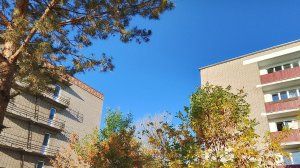 Обживаем комнату в общежитии. Дело привычное