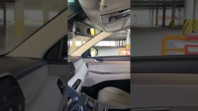 Hyundai Palisade 2020.