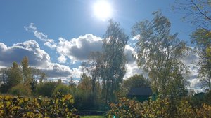 Почему он так сделал, Причину так и не поняли .Посмотрим,что дальше будет.