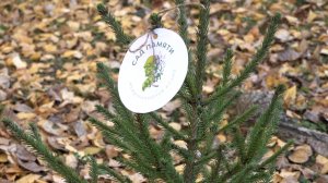 Карпинск присоединился к акции "Сад памяти"