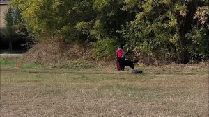 3.  имеется/перв УННА ШВАРЦ (Gardian Of Flokish Fest – Wolfenkraft Yarmila)