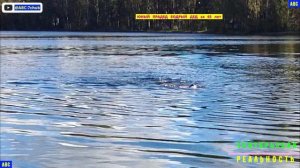 Просто водный фитнес 25.09.2025 #юныйпрадедбодрыйдед #авсарх #будогощь