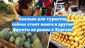 Сколько для туристов сейчас стоят манго и другие фрукты на рынке в Хургаде