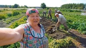 Картошка сама себя не посадит 🥔