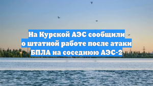 На Курской АЭС сообщили о штатной работе после атаки БПЛА на соседнюю АЭС-2
