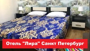 Отель "Лира" Санкт Петербург. Лучшие отели, хостелы, и гостиницы СПБ. Обзор и отзывы