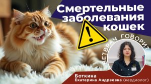 Смертельные заболевания кошек