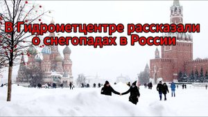 Снег покрыл до 20% территории России: местами сугробы до 20 см
