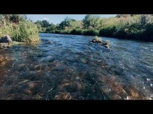 Река красивая меча - лето 2020г.