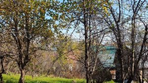 Деревня моя