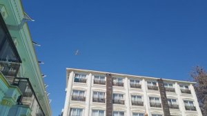 САМОЛЁТЫ ЛЕТЯТ НАД НАШИМ ОТЕЛЕМ